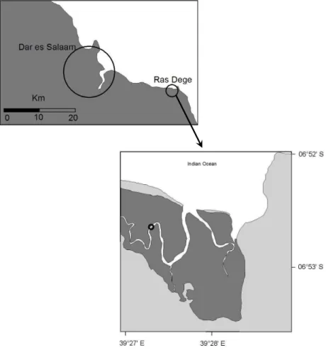 Fig. 1. Location of the study area and the sampling site. Darkest areas indicate the areal cover of mangrove vegetation.