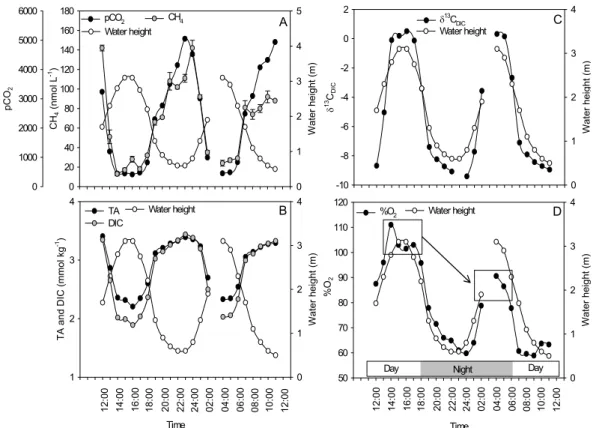 Fig. 5. Tidal variations of water height and (A) CH 4 concentrations and pCO 2 , (B) total alkalinity and dissolved inorganic carbon concentrations, (C) δ 13 C signatures of dissolved inorganic  car-bon, and (D) dissolved oxygen saturation levels (%O 2 )