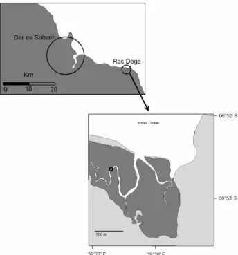 Fig. 1. Location of the study area and the sampling site, indicated by the circle in the lower panel