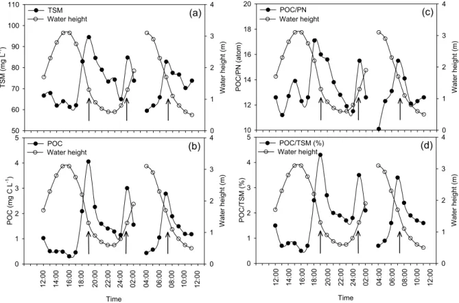 Fig. 3. Tidal variations of water height and (a) TSM, (b) POC, (c) POC/PN ratios (atom) of suspended matter, and (d) the % contribution of POC to the TSM pool