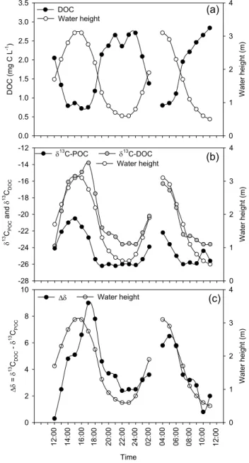 Fig. 4. Tidal variations of water height and (a) dissolved organic carbon concentrations, (b) carbon stable isotope signatures in  par-ticulate and dissolved organic carbon, and (c) the difference in δ 13 C between DOC and POC.