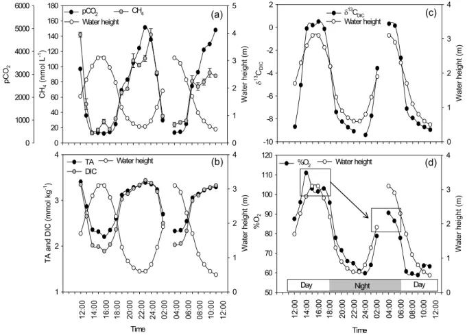 Fig. 5. Tidal variations of water height and (a) CH 4 concentrations and pCO 2 , (b) total alkalinity and dissolved inorganic carbon con- con-centrations, (c) δ 13 C signatures of dissolved inorganic carbon, and (d) dissolved oxygen saturation levels (%O 2