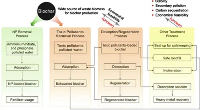 Fig. 4    The graphical representation of wastewater contaminants’ adsorption on biochar and the possible ways of its regeneration (Adapted from  Mubarak et al