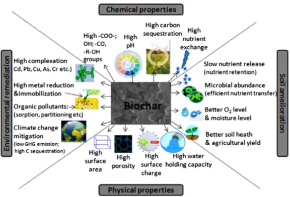 Fig. 8    Future proposed research mechanism for biochar application