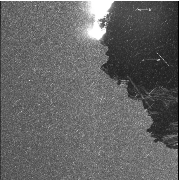 Fig. 1. OSIRIS NAC image taken on 22 October 2014, 01h17m12s UT. The dust coma is resolved in single particles of subpixel apparent sizes, visible as tracks due to proper and spacecraft motion during the exposure time of 5.7 s