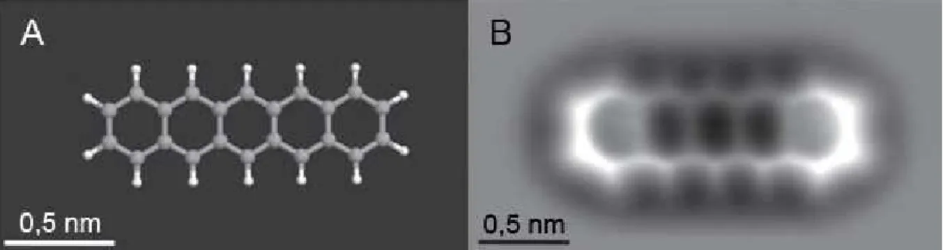 Figure 10 Image (B) obtenue par Gross et al. qui est en 2009 