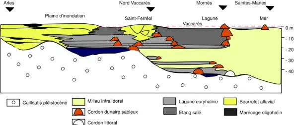 Fig. 1.3  Coupe Nord-Sud montrant la géomorphologie du delta du Rhne à l'époque