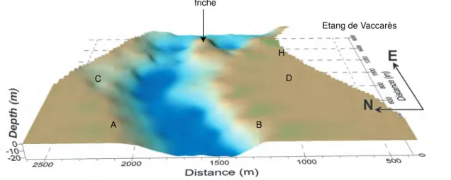 Fig. 1.5  V ue en 3 dimensions du paléohenal. Modélisation à l'aide du logiiel Surfer.