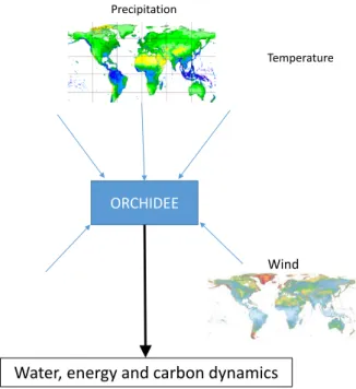 Figure 2-1: Schematic view of basic inputs/outputs to ORCHIDEE   2.1.1  Modular structure 