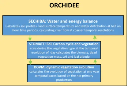 Figure 2-2: Structure of the main modules in ORCHIDEE land surface model  2.1.2  Hydrology and water balance 