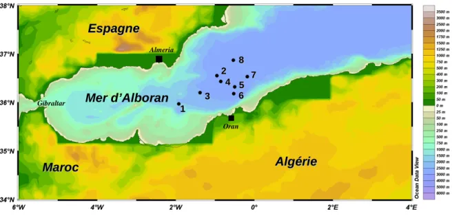 Figure II.6: Localisation des 8 stations longues de la campagne ALMOFRONT. 