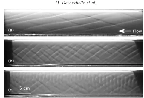 Figure 1. Various bedforms observed on the granular bed of a a laminar flume (Devauchelle et al