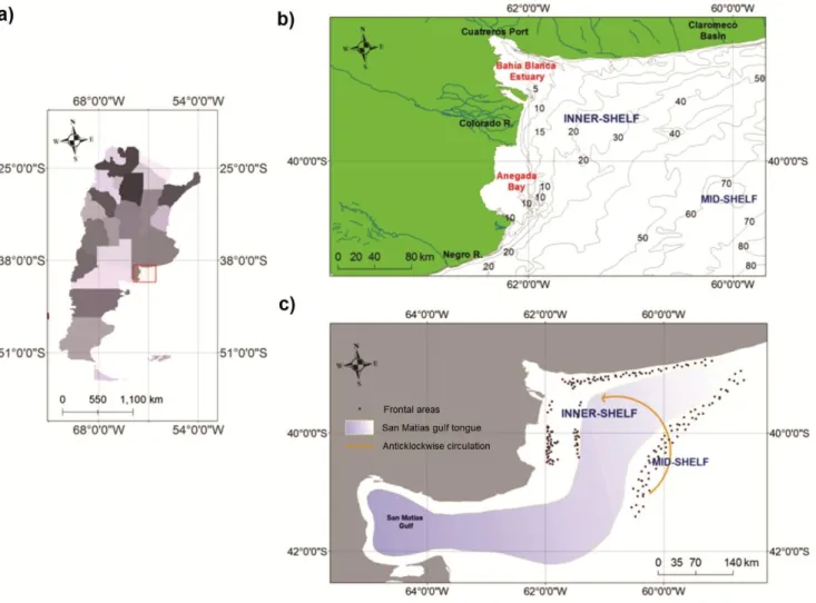 Figure  1.  Location  of  the  study  area.  (a)  south  of  Buenos  Aires  Province,  Argentina;  