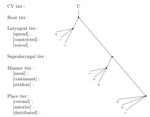 Figure 3.1 – Représentation du segment [s] en géométrie des traits d’après Cle- Cle-ments (1985), p