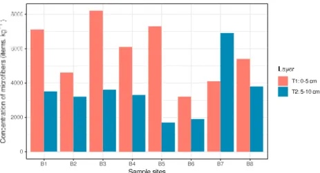 Fig. 5. Relative frequency of fibers length by size class cumulated for all samples on the two distinct strata (T1: 0–5 cm and T2: 5–10 cm).