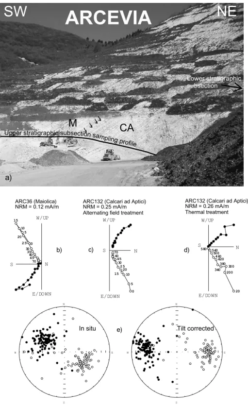 Figure 2. Paleomagnetic results from Arcevia. (a) Photo of the sampled upper stratigraphic subsection (now buried and inaccessible to sampling)