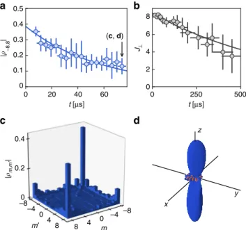 Fig. 5 Dephasing of coherences. a Evolution of the modulus of the extremal coherence | ρ − 8,8 | (blue circles) calculated from the tomography of the superposition state after a wait time t 