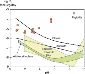 Fig. 3 Rate of dissolution (R) of frequent soil minerals and phytoliths as a function of pH (Fraysse et al