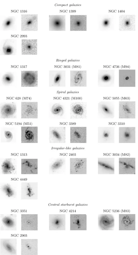 Fig. 2. Galaxies of our sample classified as a function of their spectro-morphological type