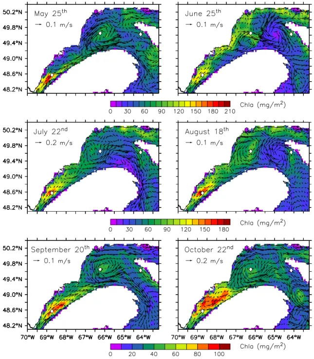 Figure 10 illustrates such a strong mesoscale variability of the circulation (depth-averaged currents from the surface to 45 m) and its impact on phytoplankton biomass  (depth-integrated Chl a from the surface to 45 m) from spring to fall