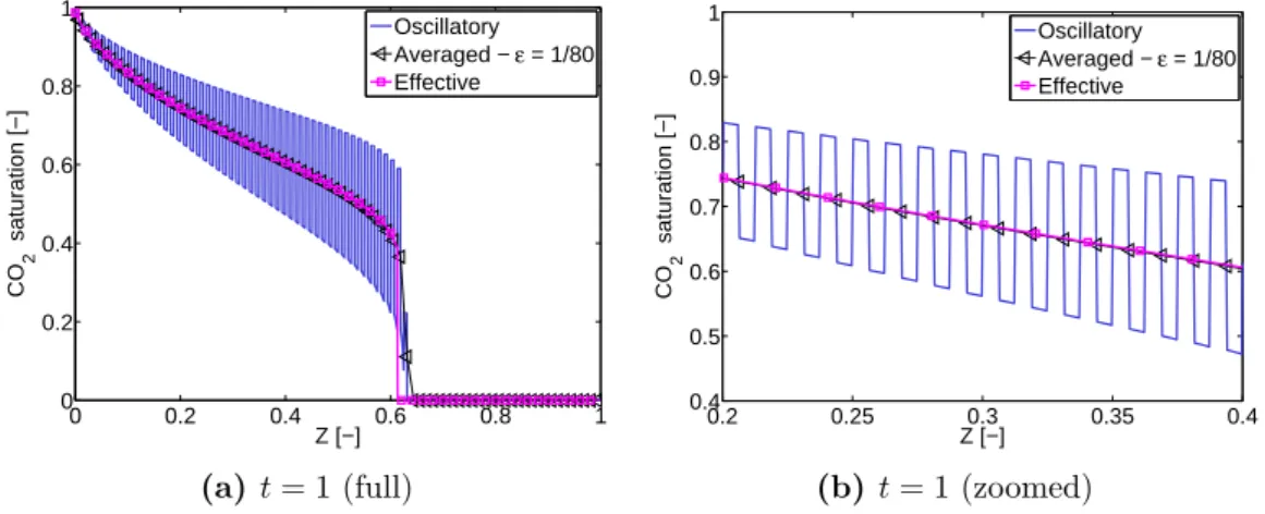 Figure 2.8 – Capillary dominant case - CO 2 injection : CO 2 saturation distribution at time t = 1, full (a) and zoomed view (b).