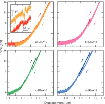 Figure 2.9 Force versus extension curves at 50 nm/s for the four different hairpins. The darker curves correspond to the stretching of the construct, whereas the lighter ones represent the release process