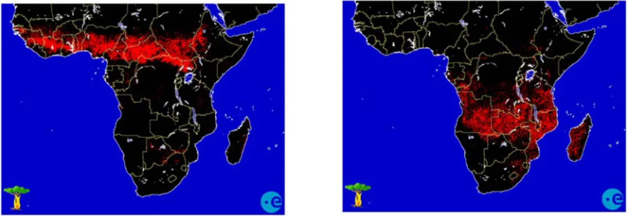 Figure 1-10 : La saisonnalité des feux sur le continent africain, avec les feux en janvier (à  gauche) et en juillet (à droite) (http://shark1.esrin.esa.it/FIRE/AF/AVHRR.)