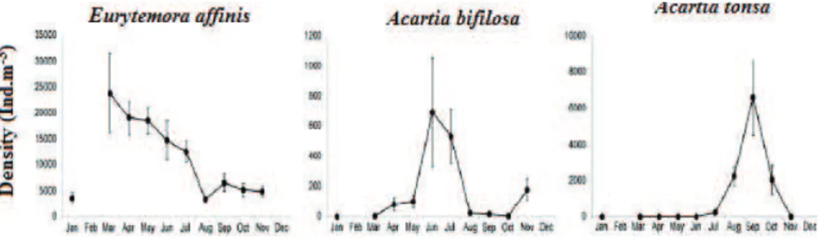 Figure  12  :  Moyennes  mensuelles  (±  écart-type)  des  abondances  (ind.m -3 )  des  espèces  de  copépodes entre 2004 et 2008 (Selleslagh et al