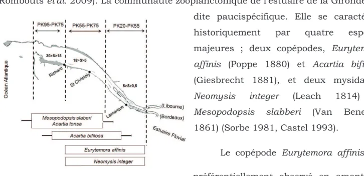 Figure  13  :  Répartition  longitudinale  des  espèces de zooplancton le long du gradient  de salinité (d'après Nzigou 2012)