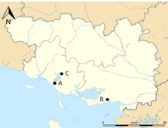 Figure 1.9. Le département du Morbihan, Bretagne Sud. Localisation des éponges collectées, (A) en  ria d’Etel, (B) en rivière de Penerf et (C) sur l’estran à Locoal-Mendon