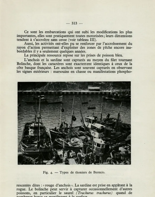 Fig.  4.  —  Types  de  thoniers  de  Berméo. 