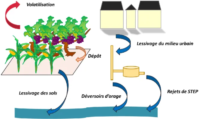 Figure  6 : Devenir des produits phytosanitaires dans les différents compartiments de l’environnement (eau, air,  sol) (Cruz 2015) 