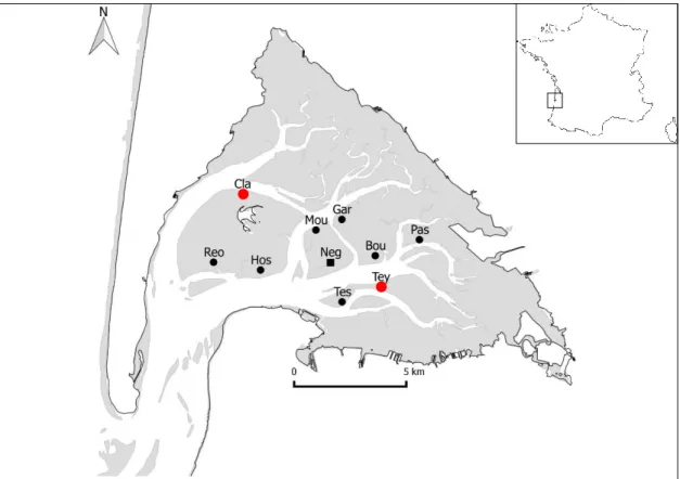 Figure II. 1 Localisation du bassin d’Arcachon sur la côte Atlantique sud française (insert) et situation des  différents sites de prélèvement