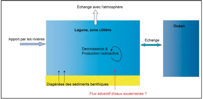 Figure I.5 : Schéma en boîte montrant les processus à l’origine des activités en radium et radon  mesurées en zone côtière