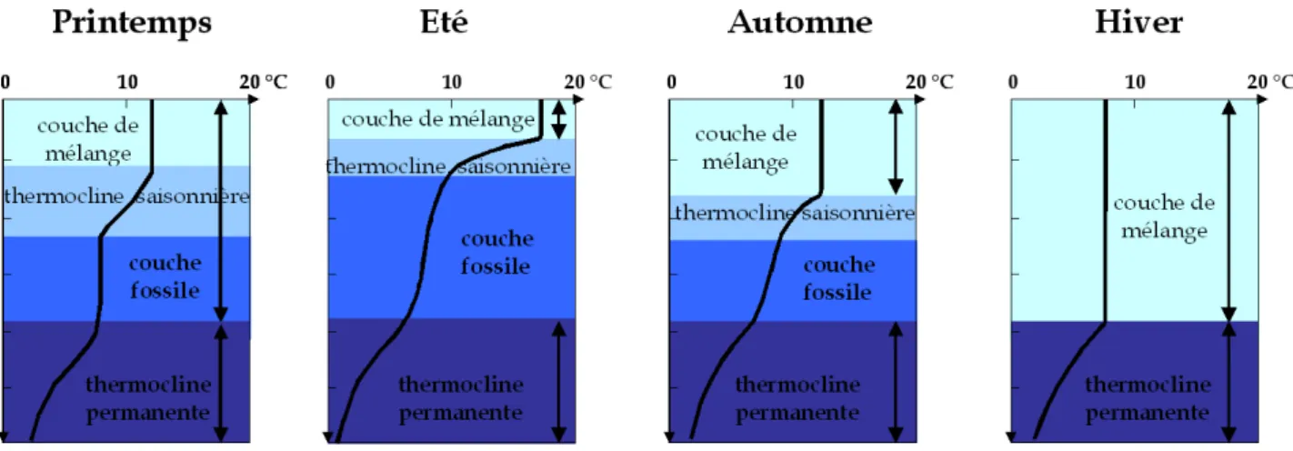 Figure 1.1. Cycle saisonnier de la structure en température de la partie superficielle de la colonne  d’eau