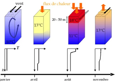 Figure 1.8. Représentation schématique du phénomène de stratification thermique en Mer d’Iroise