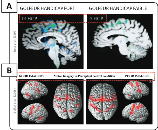 Figure 9. Effet de l’expertise sur l’équivalence fonctionnelle entre imagerie motrice et mouvement  réel