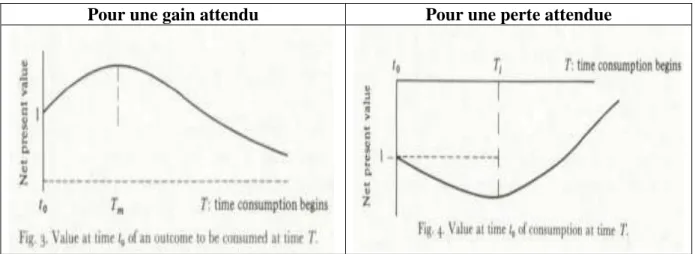 Figure 2.1 : Représentation de l’évolution de la valeur actuelle nette d’une  consommation future 