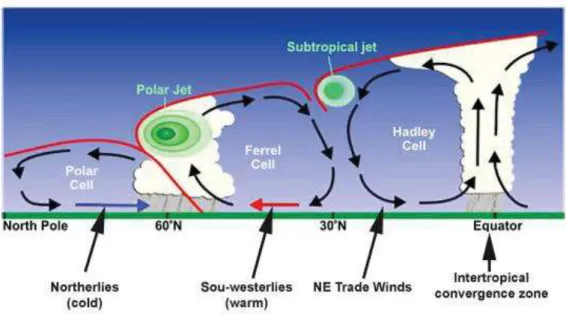 Figure  18.  Circulation  atmosphérique  globale  schématisant  les  différentes  cellules  convectives  de  la  troposphère (https://skepticalscience.com/jetstream-guide.html)