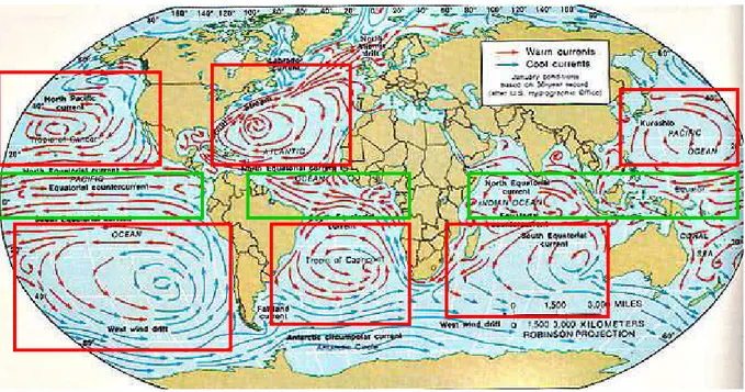 Figure  12 Distribution  mondiale  des  principaux  courants  océaniques.  Les  courants  équatoriaux sont encadrés en vert, les courants de gyre en rouge