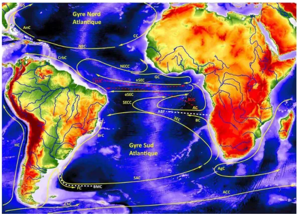 Figure  14  Distribution  des  principaux  courants  océaniques  de  surface  en  jaune  et  de  subsurface en tiretés rouge dans l'Océan Atlantique tropical