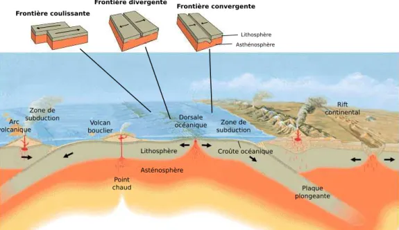 Figure 2.1 – Cycle tectonique de la lithosphère océanique (d’après une coupe de José F.