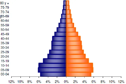 Figure 3: Structure de la population du Huila par groupes d'âge et par sexe 