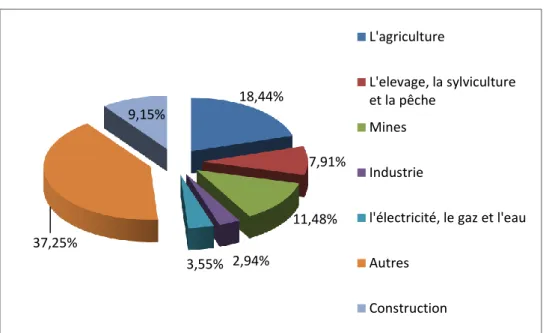 Figure 11: Distribution des secteurs économiques. PIB Huila 2005 