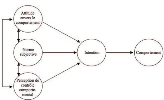 Figure 2 : modèle de la théorie du comportement planifié (Ajzen, 1991) 