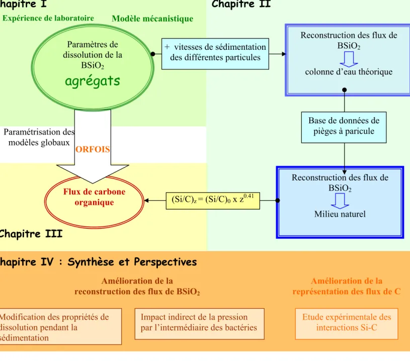 Figure 11 : Schéma du plan de thèse  