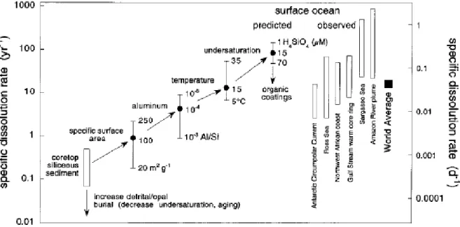 Figure I.1: Figure de Van Cappellen et collaborateurs (2002) représentant les vitesses de dissolution  spécifiques de la BSiO 2 , prédites et observées dans les eaux de surface océaniques