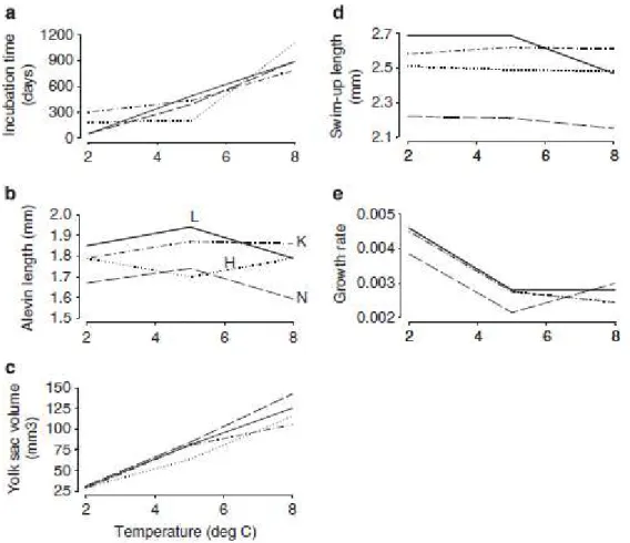 Figure 7: Normes de réaction sur les traits d’histoire de vie de stades précoces, pour 4 populations de truites danoises  (Salmo trutta) en fonction de la température d’élevage (2, 5 et 8°C) (Jensen et al