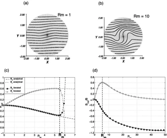 FIG. 3. Expulsion by rotation. 共 a 兲 and 共 b 兲 Magnetic field lines computed using the iterative approach, respectively at Rm ⫽ 1 and Rm ⫽ 10
