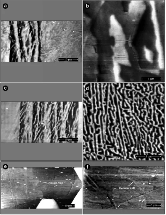 Figure 1. Magnetic Force Microscopy observations (a-c, e-f) of hemoilmenite crystals and a titanomagnetite crystal (d) from Pinatubo rock sample 9534 (Bina et al., 1999)